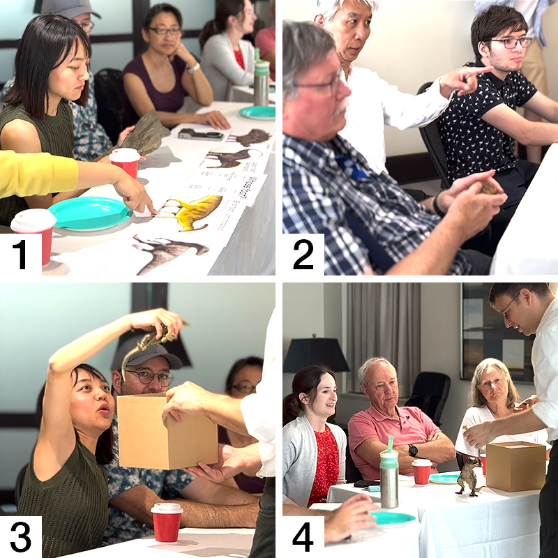 Collage of participants engaging with the workshop.
