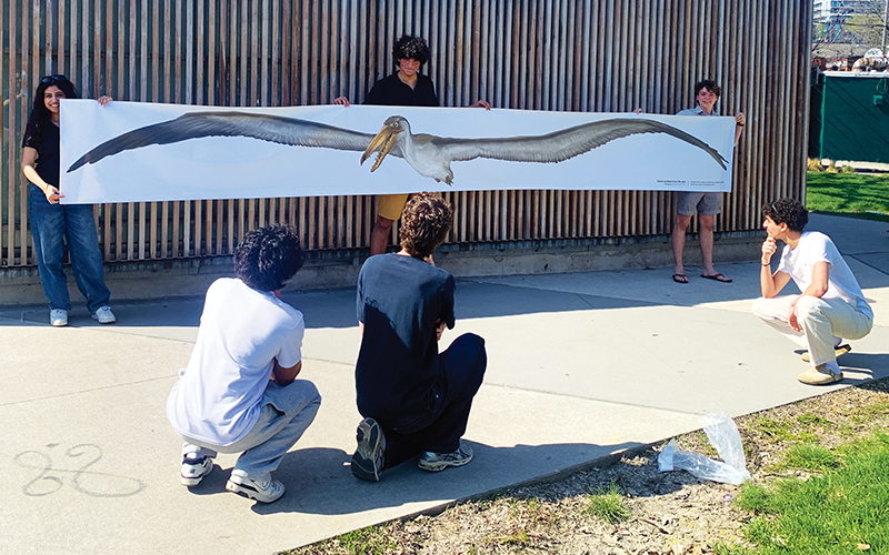 Youths open a 18'-wide banner of prehistoric bird in a park, as others look on.